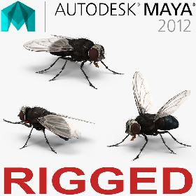 Fly Rigged for Maya